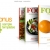 3D Book Cover 006